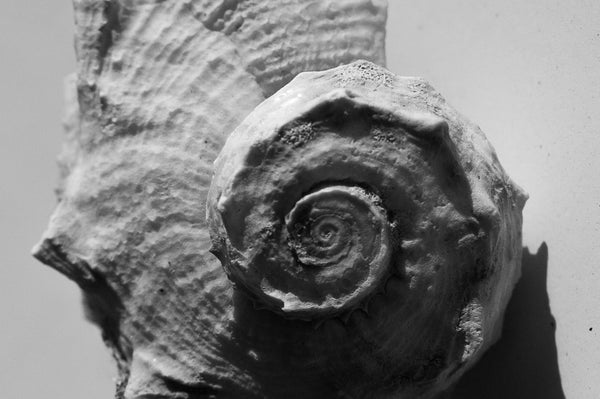 Small-batch craftsmanship